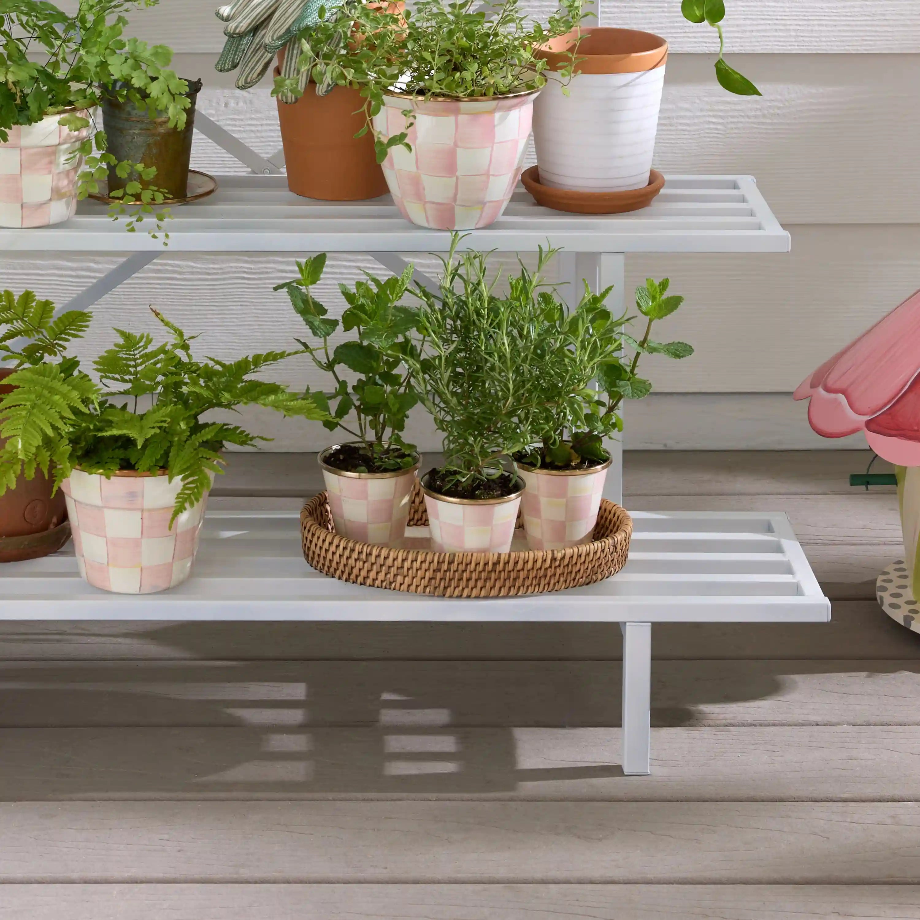 Courtly Check Herb Pots, Set of 3