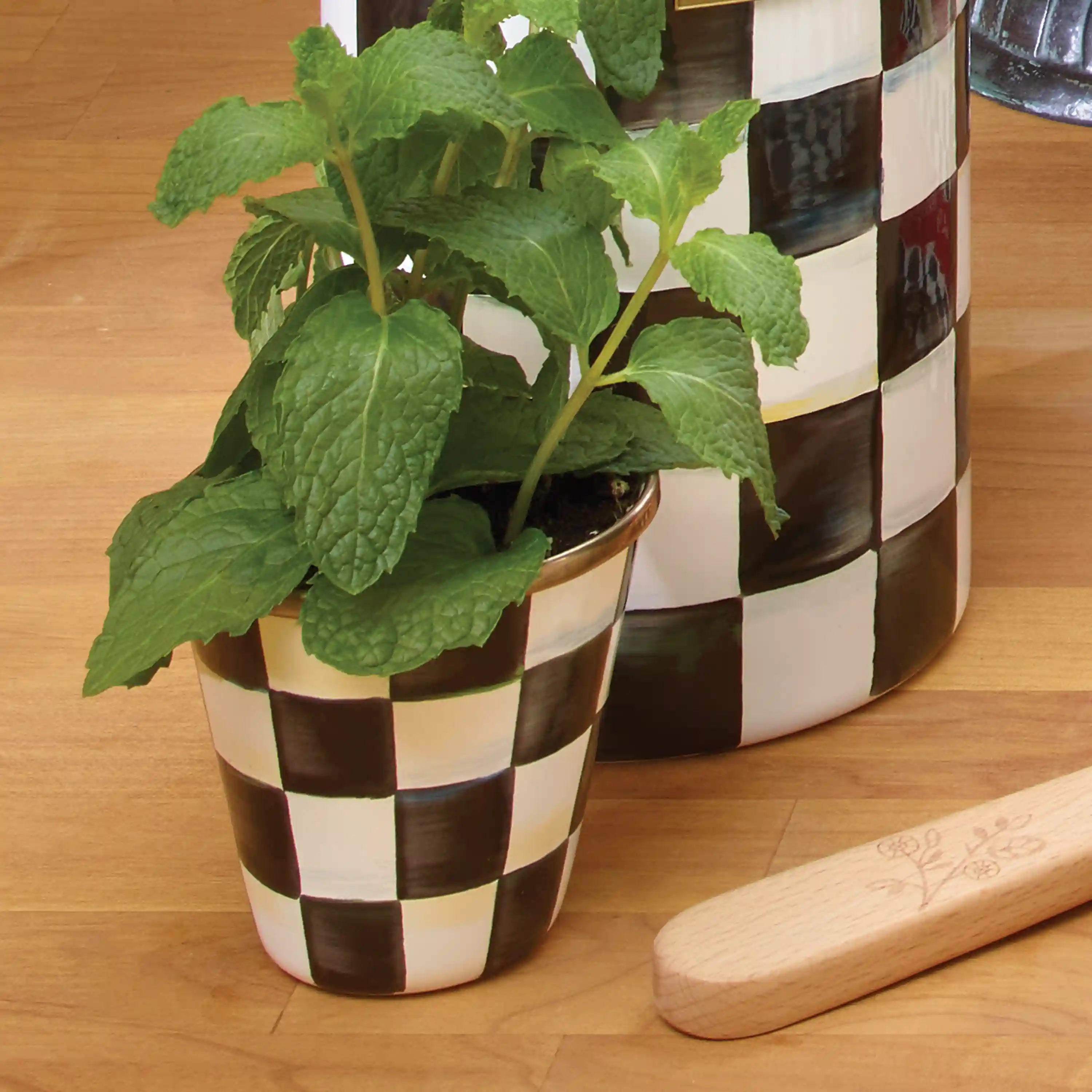 Mocha Check Herb Pots, Set of 3