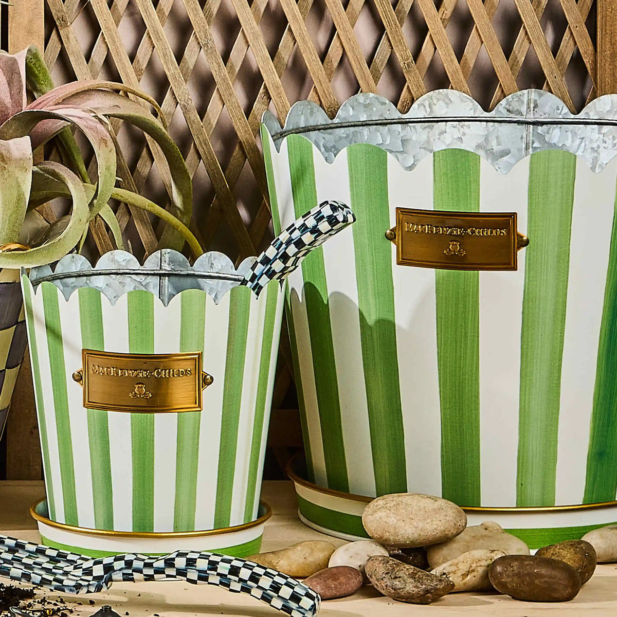 Grass Green Stripe Pots & Saucers, Set of 3