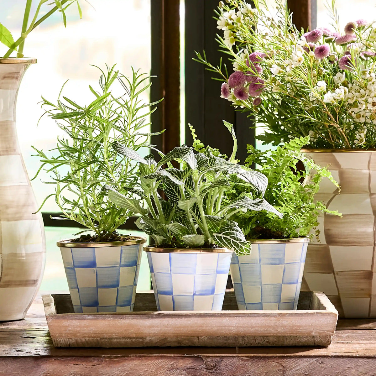Sky Check Herb Pots, Set of 3