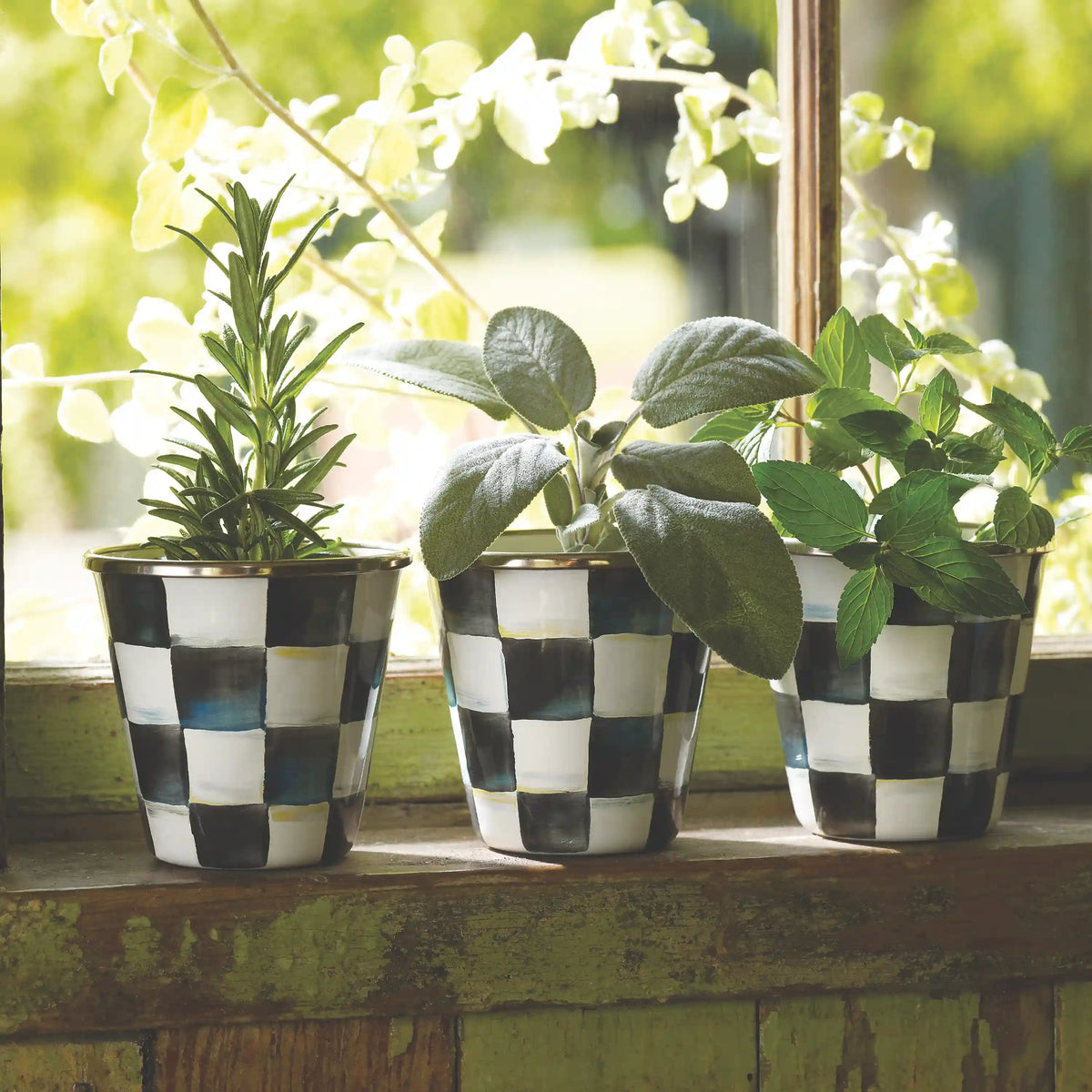 Mocha Check Herb Pots, Set of 3