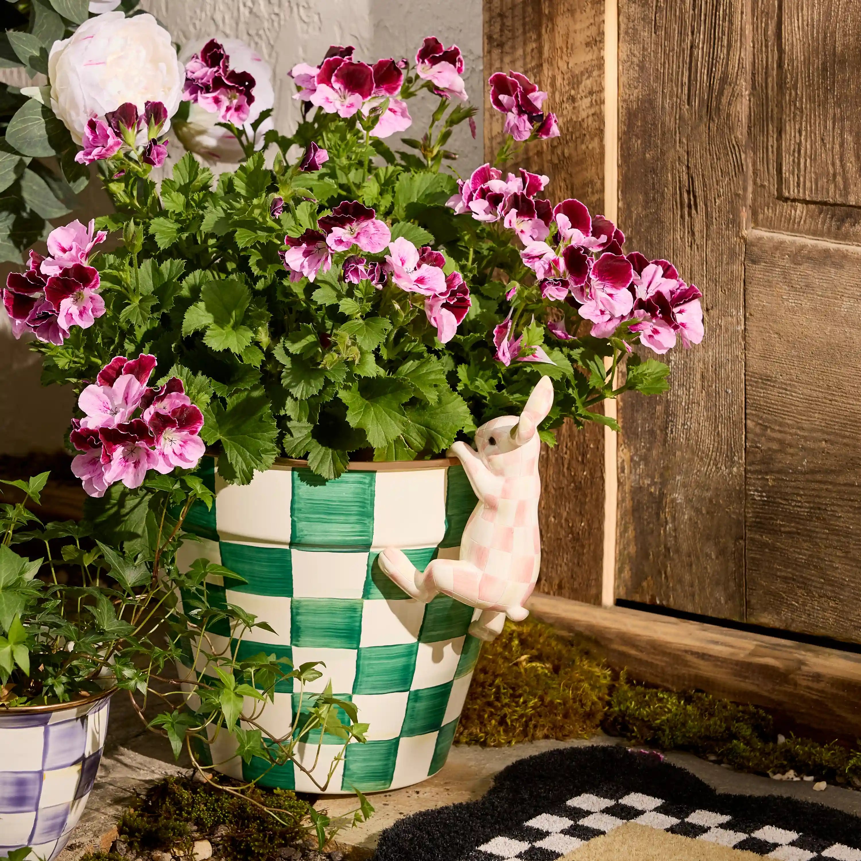 Rosy Check Funny Bunny Pot Climber