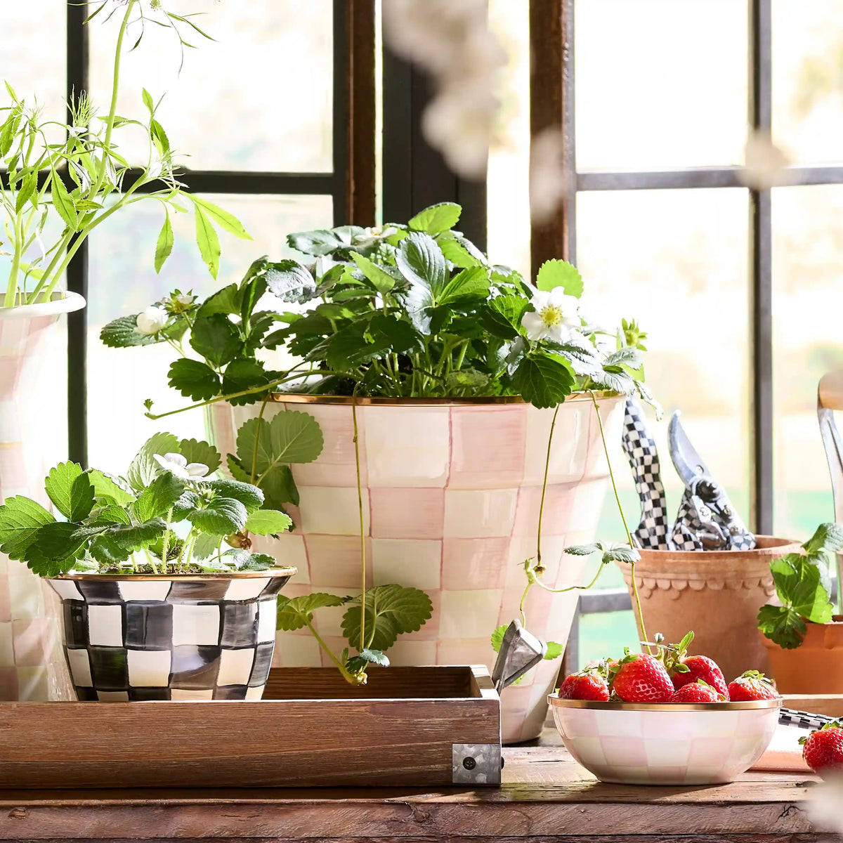 Mocha Check Extra Large Garden Pot