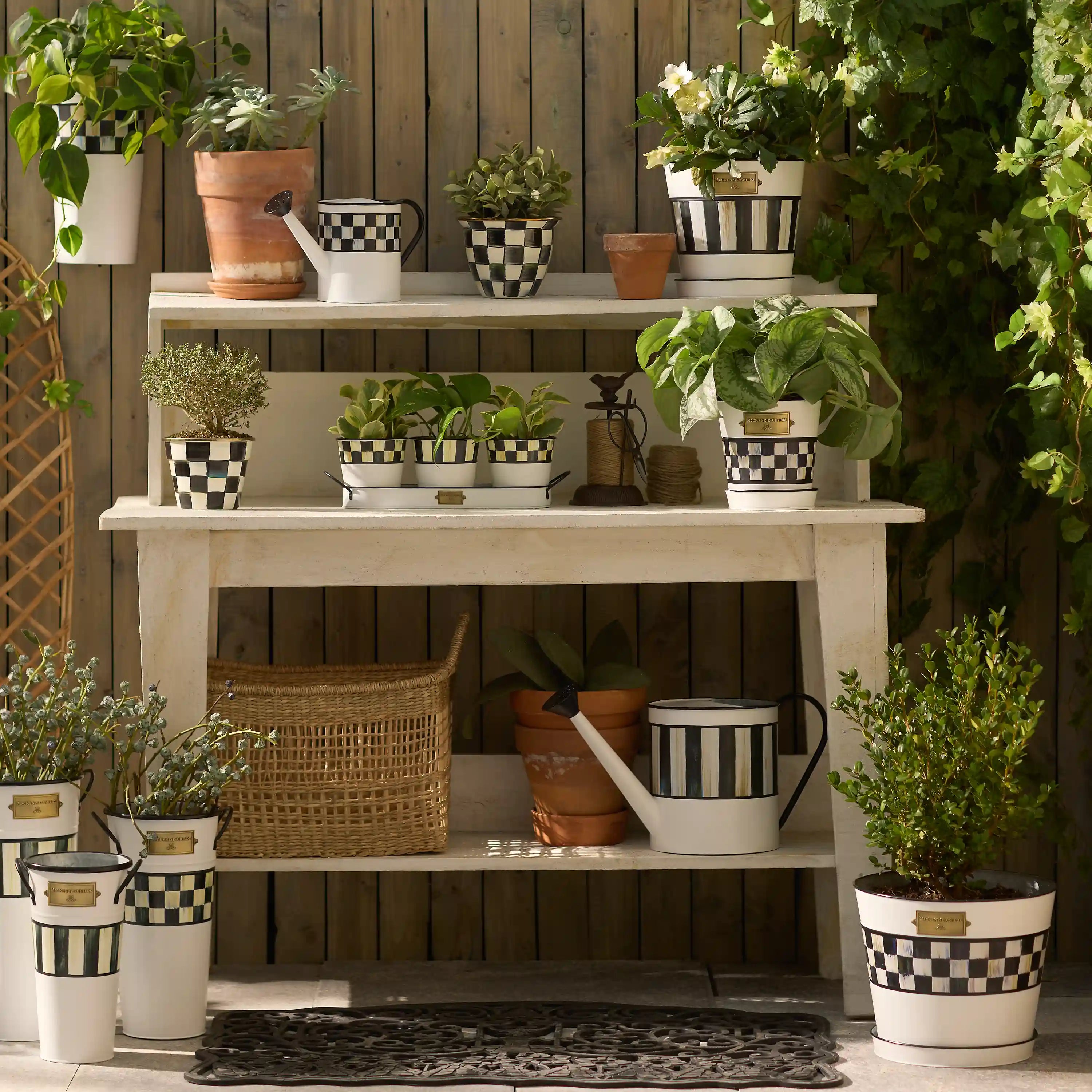 Grass Green Stripe Pots & Saucers, Set of 3