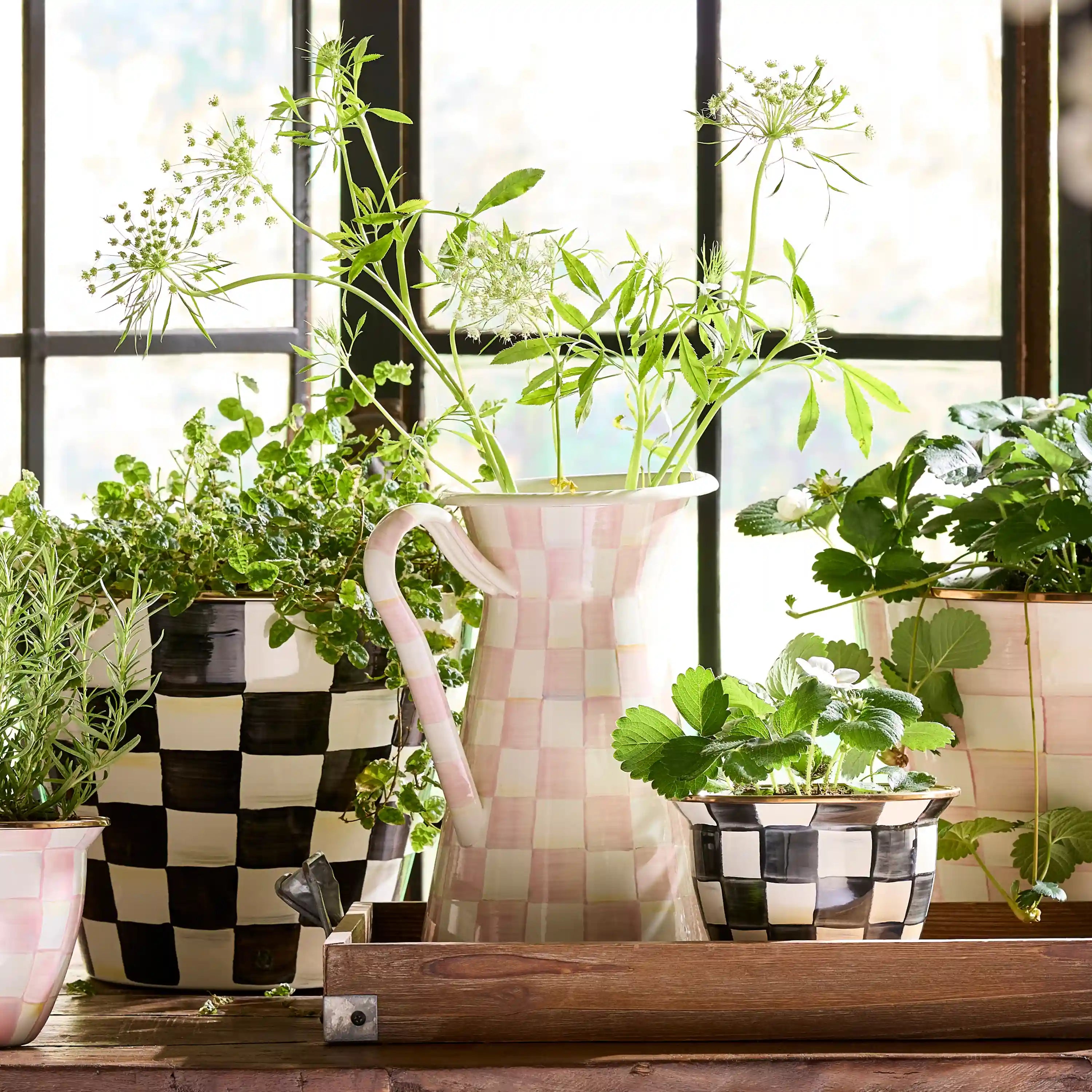 Emerald Check Medium Practical Pitcher