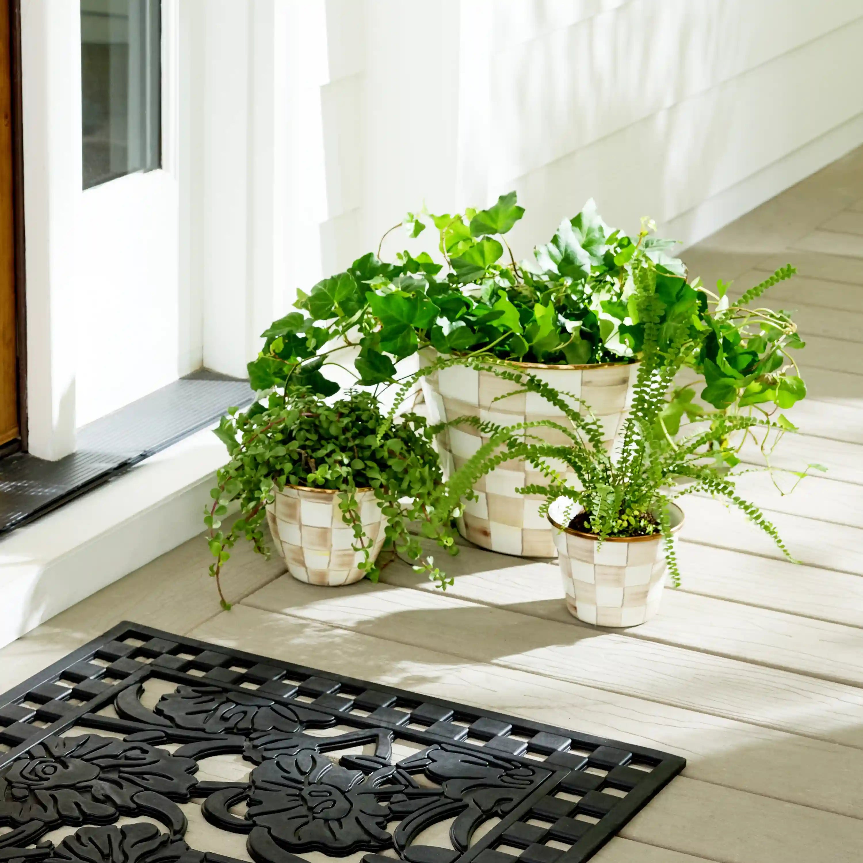 Rosy Check Small Garden Pot