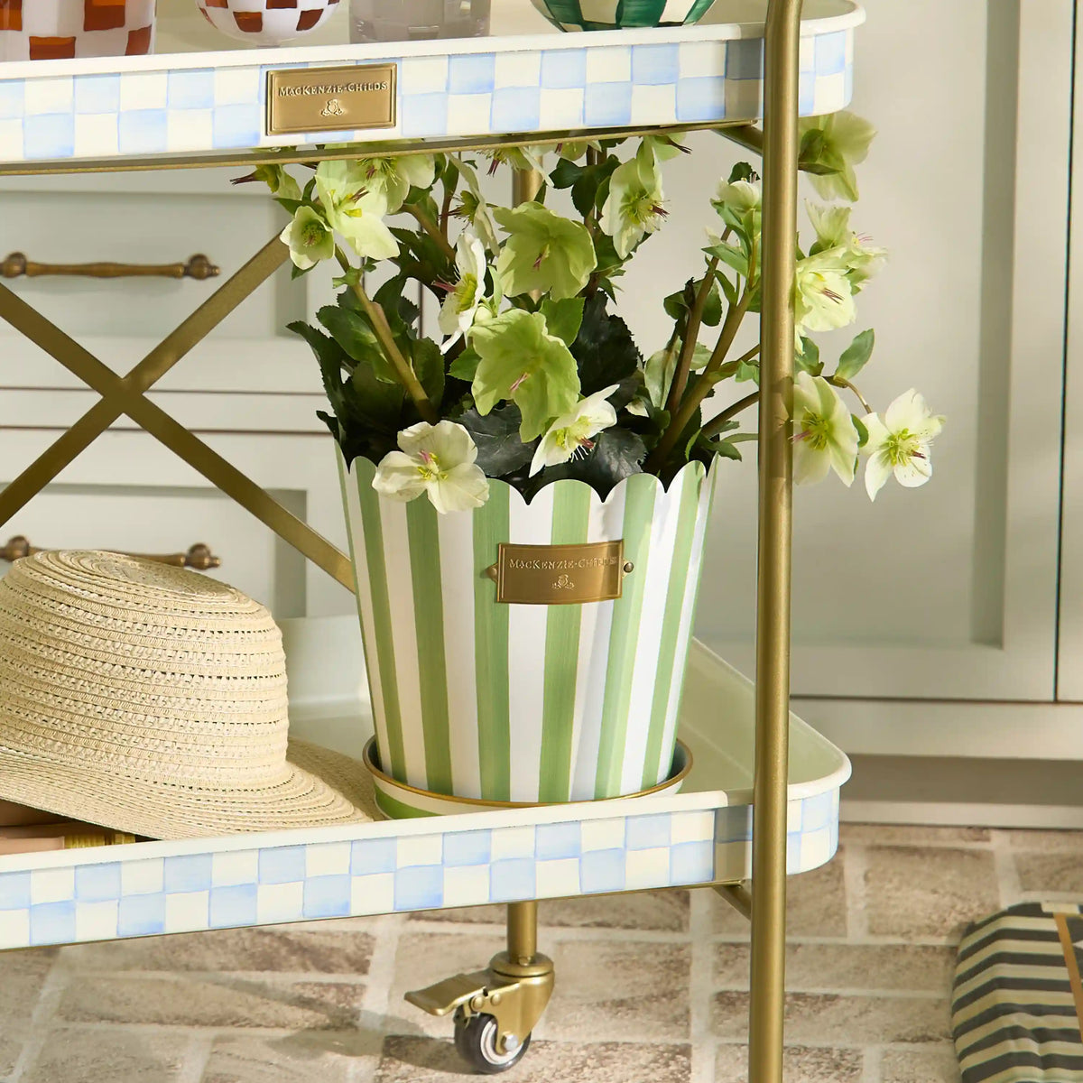 Courtly Stripe Pots & Saucers, Set of 3